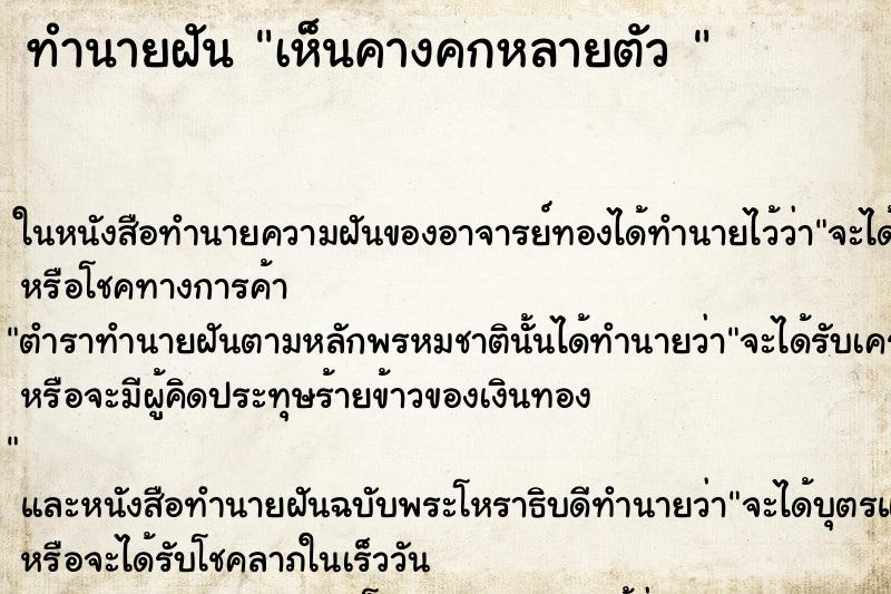 ทำนายฝันทำนายฝันเห็นคางคกหลายตัว